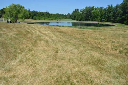 Property photo 20 - 21 Acre Modern Country Estate